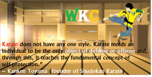Brendan Donnellu Quote Karate Style