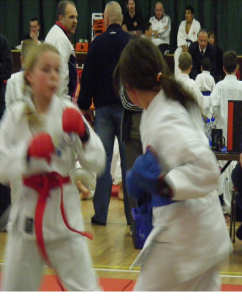 Members of Seishin freestyle Karte Ireland "Kumite" Ireland 2008